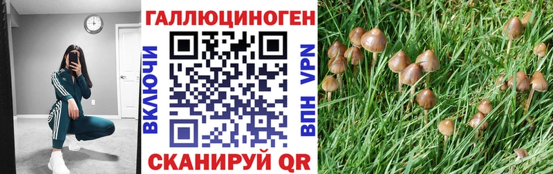 Псилоцибиновые грибы GOLDEN TEACHER  ОМГ ОМГ ONION  Пласт 